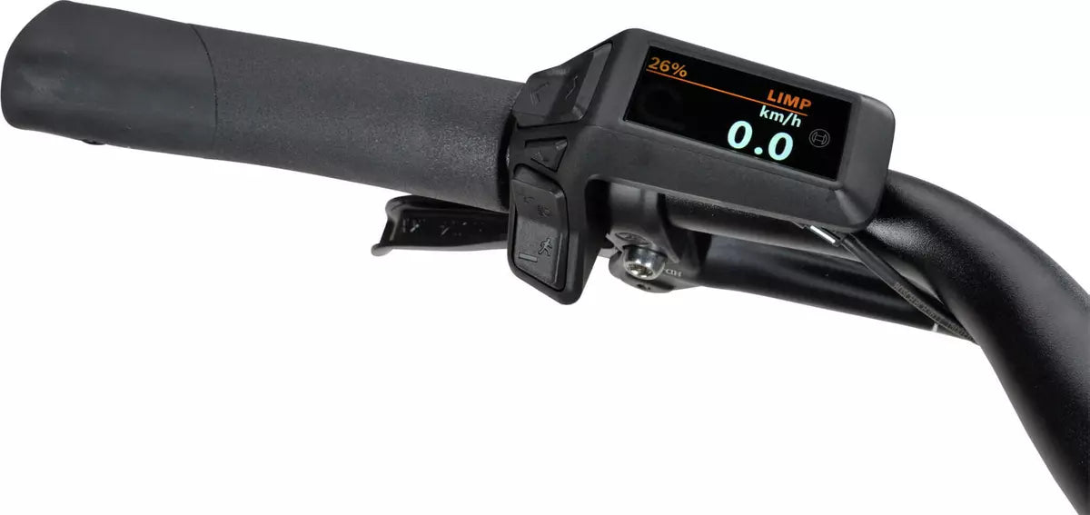 Batavus Altura E-Go Plus Smart 2025