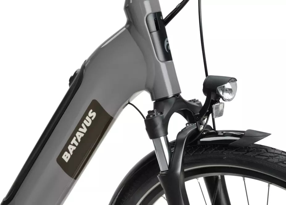 Batavus Altura E-go Power 2025