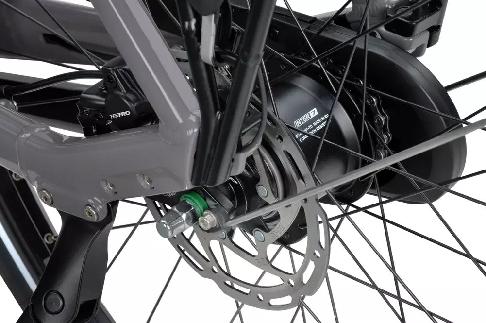 Batavus Altura E-go Power 2025