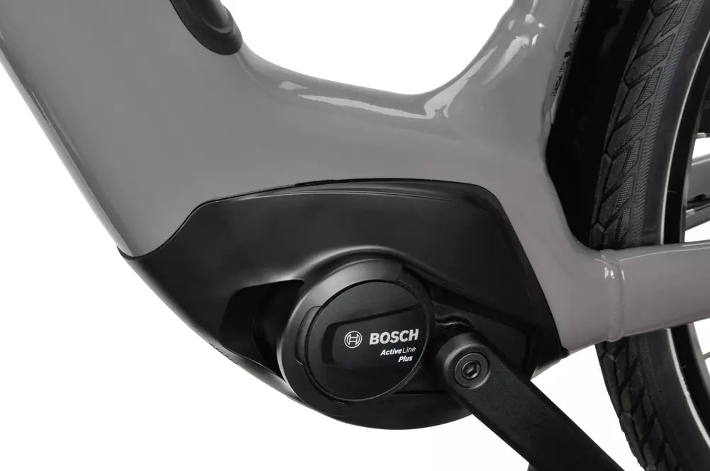 Batavus Altura E-go Power 2025