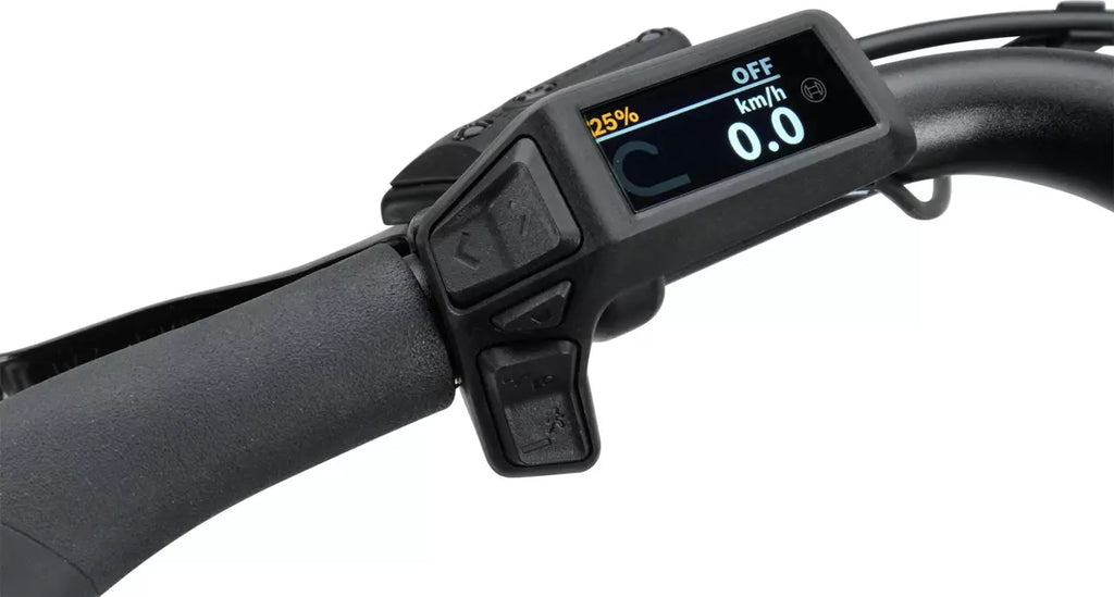 Batavus Altura E-go Power 2025