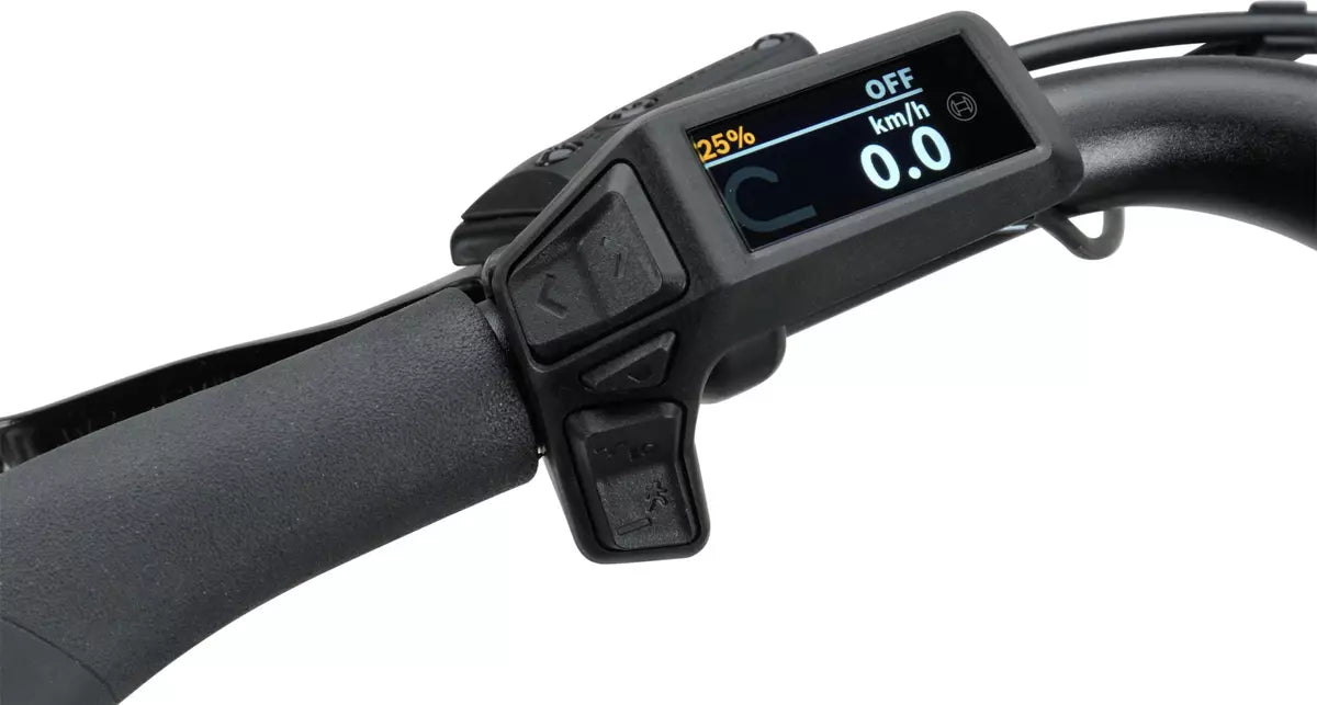 Batavus Altura E-go Power 2025