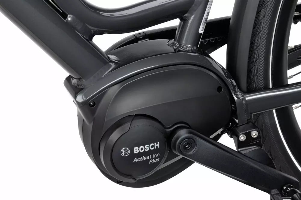 Batavus Dinsdag E-go Exclusive Dames