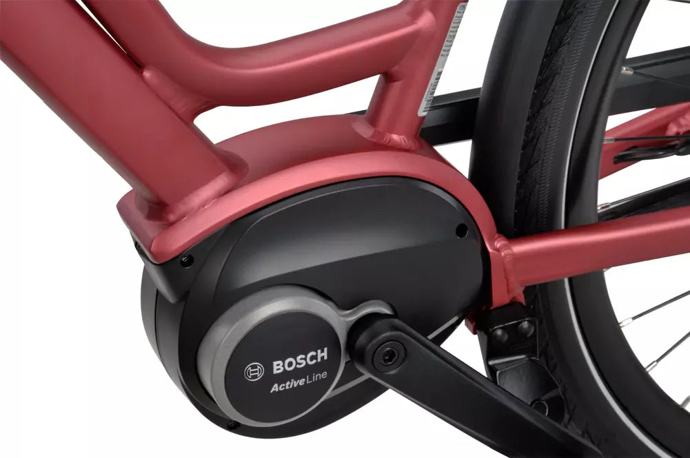Batavus Dinsdag E-go N7 Dames