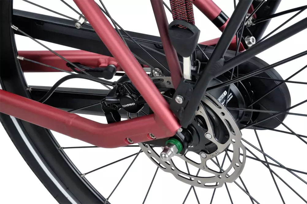 Batavus Dinsdag E-go N7 Dames