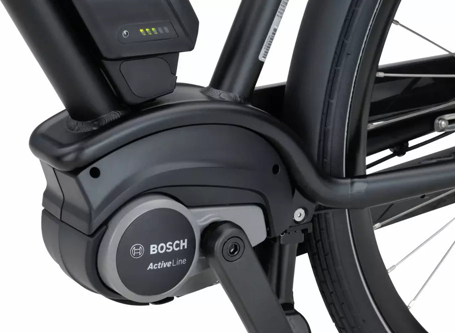 Batavus Quip Extra Cargo E-go Plus N7 2025