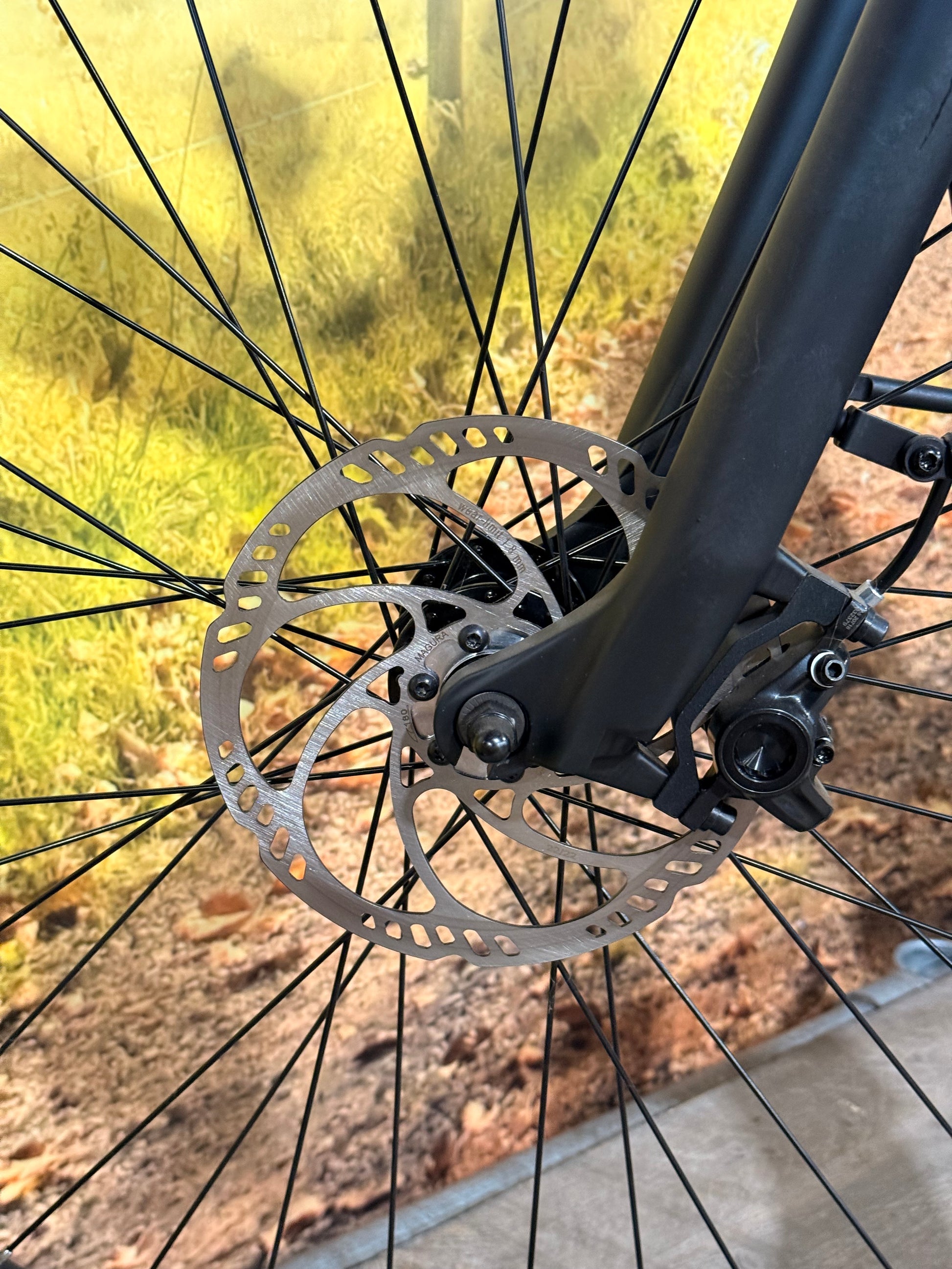 Van Dijck Leto 5 Belt Connected