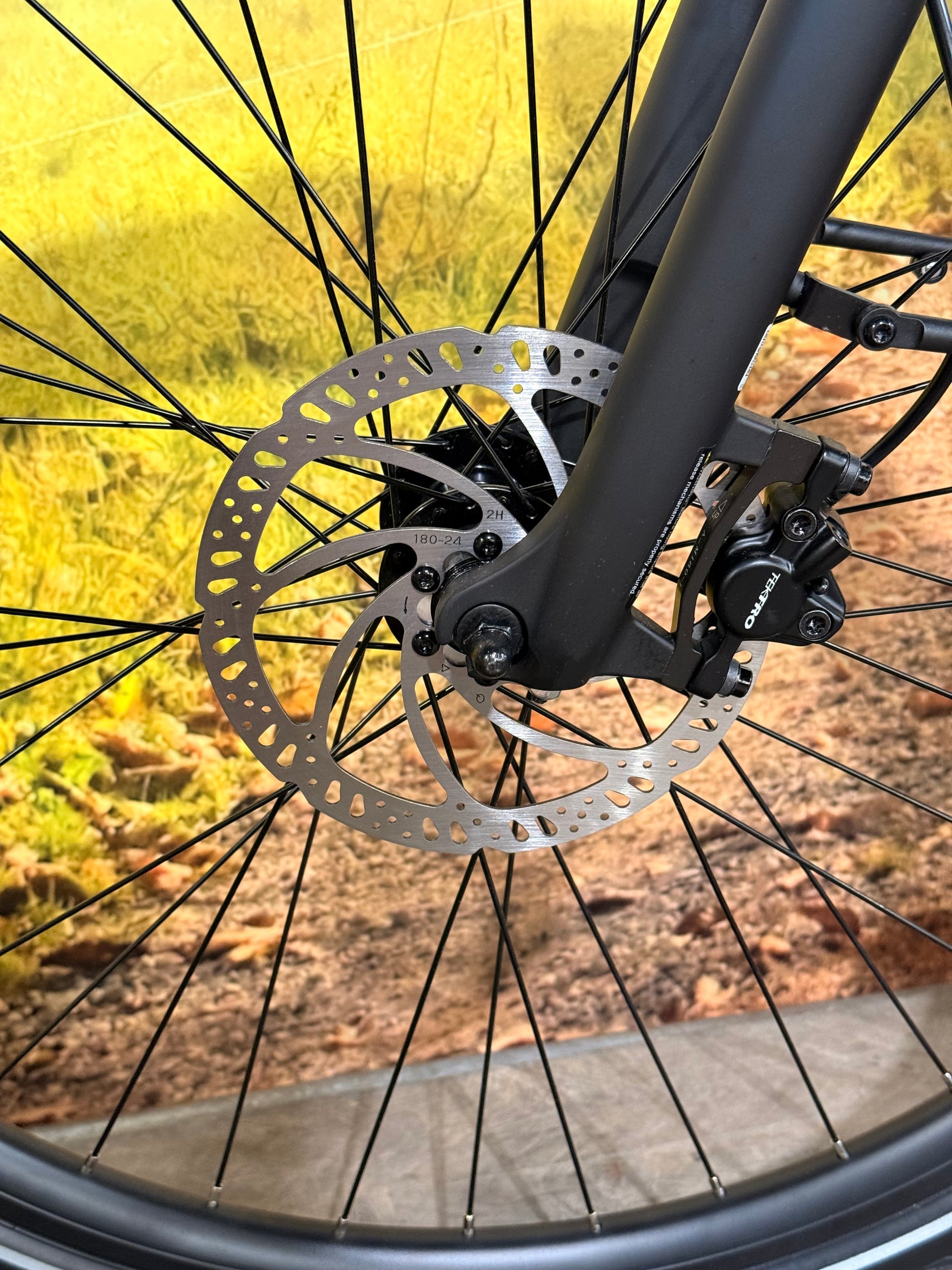 Van Dijck Triton Hypershift Belt