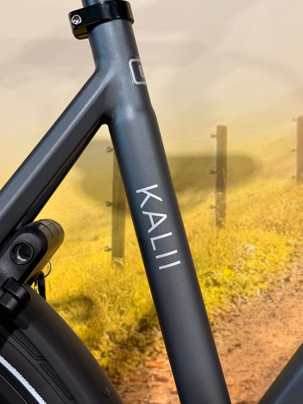 Van Dijck KALII 3.0 BELT