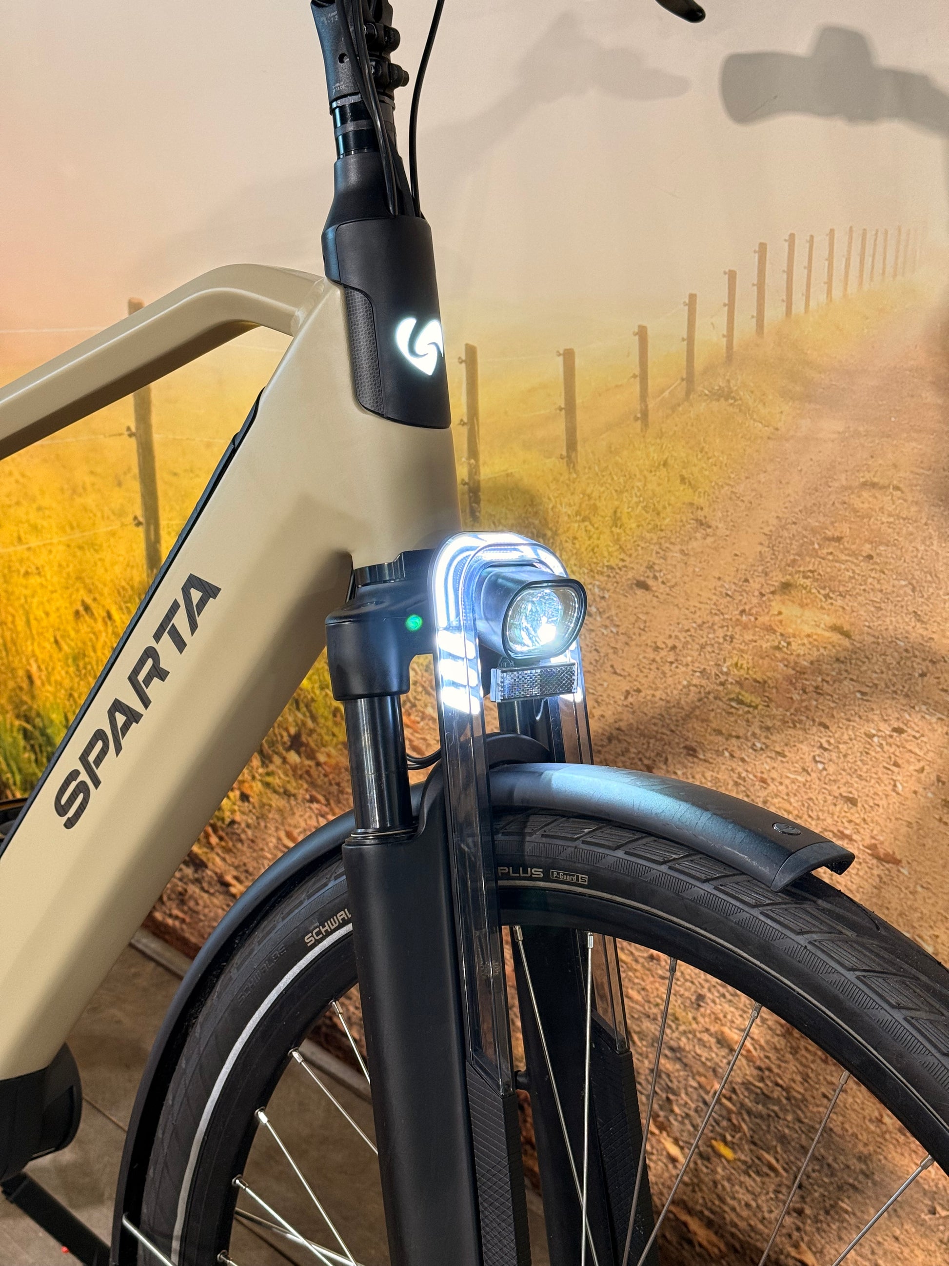 Sparta D-Rule Fit 2023