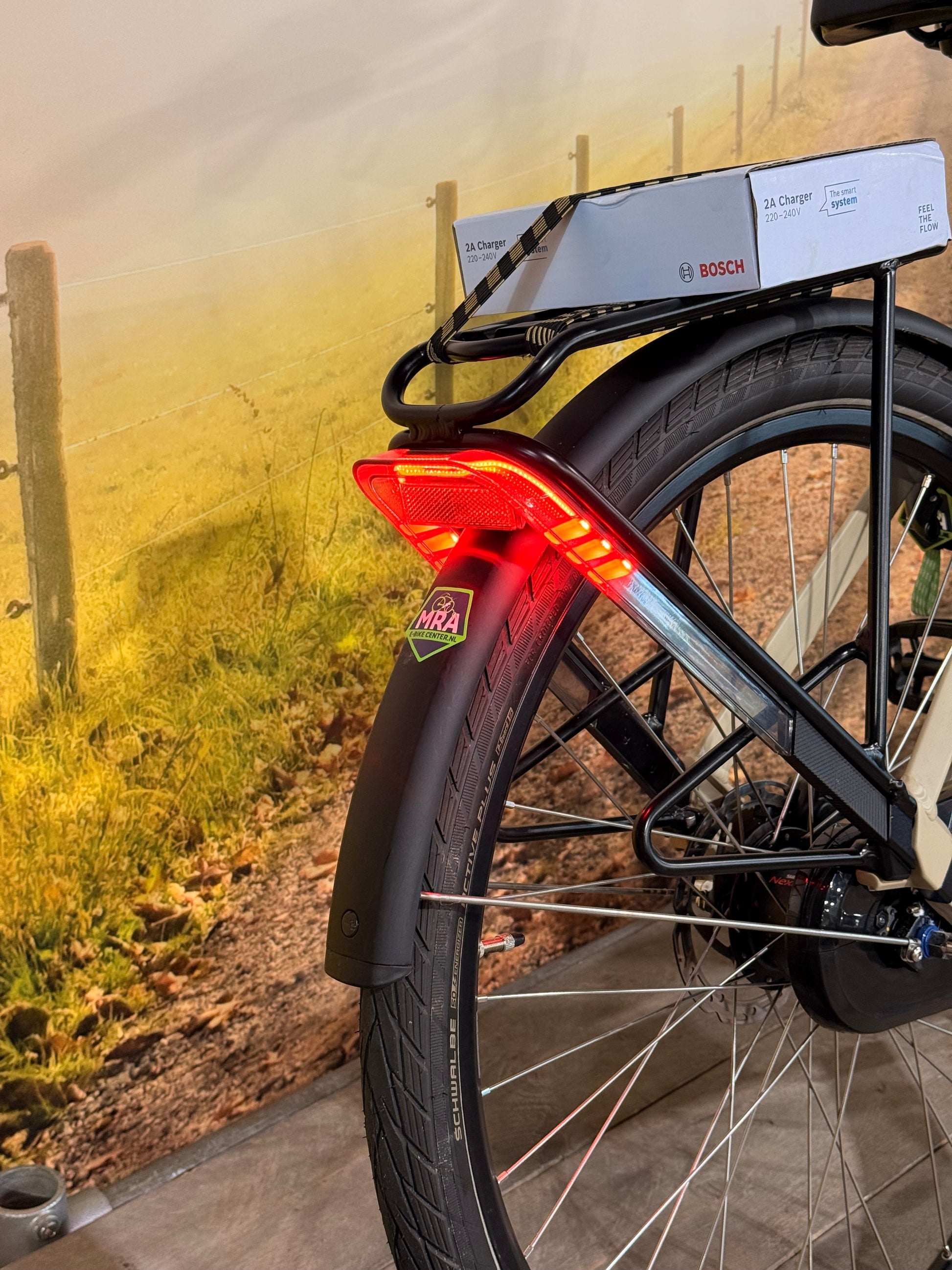 Sparta D-Rule Fit 2023