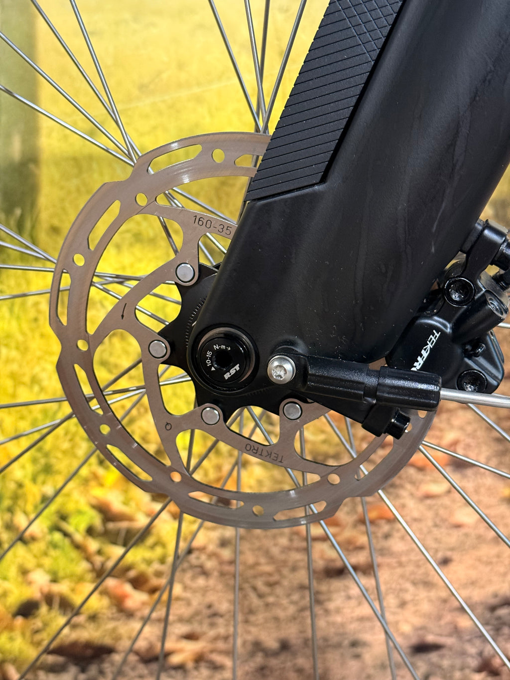 Sparta D-Rule Fit 2023