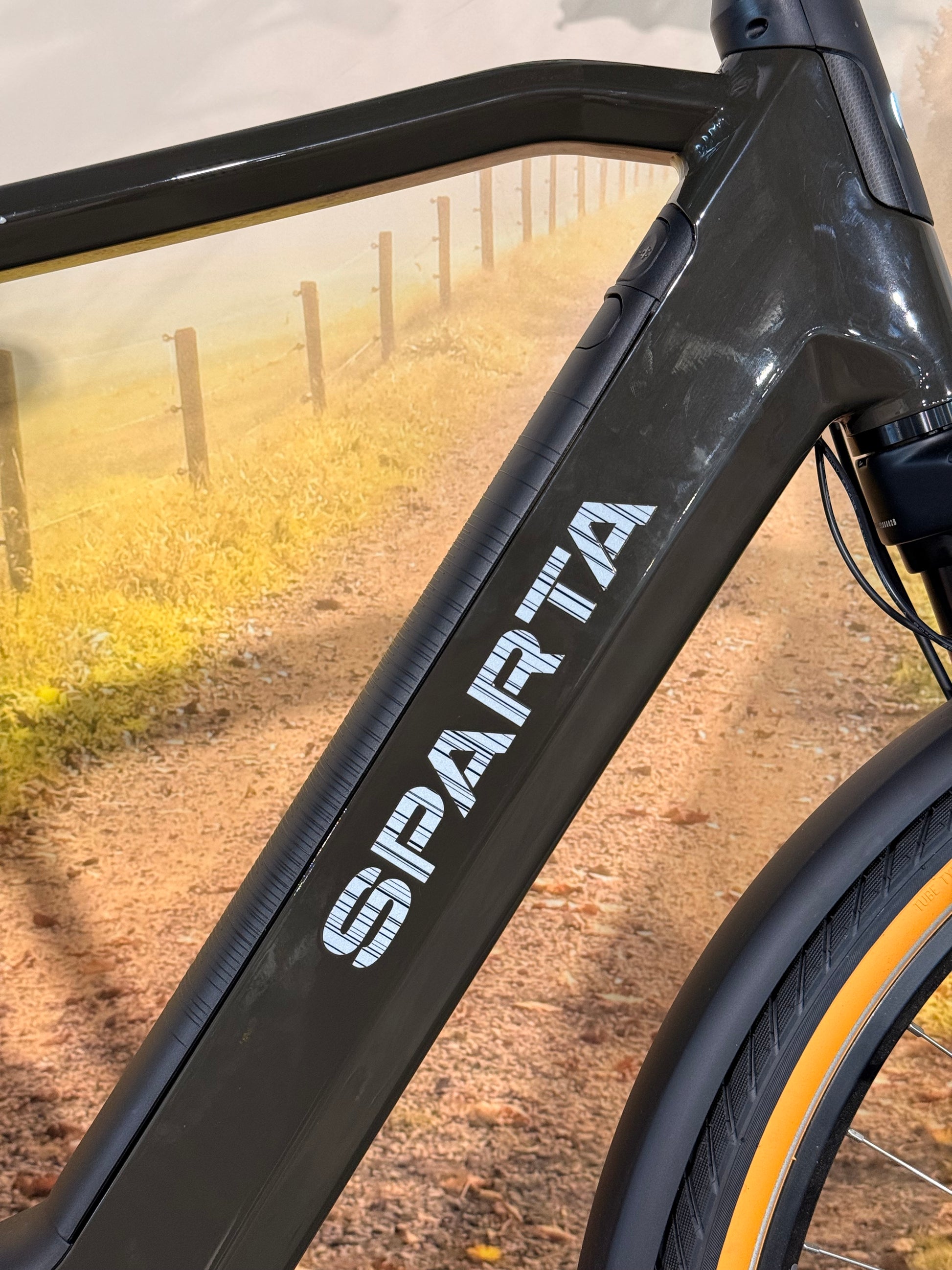 Sparta D-Rule Energy M5T 2024