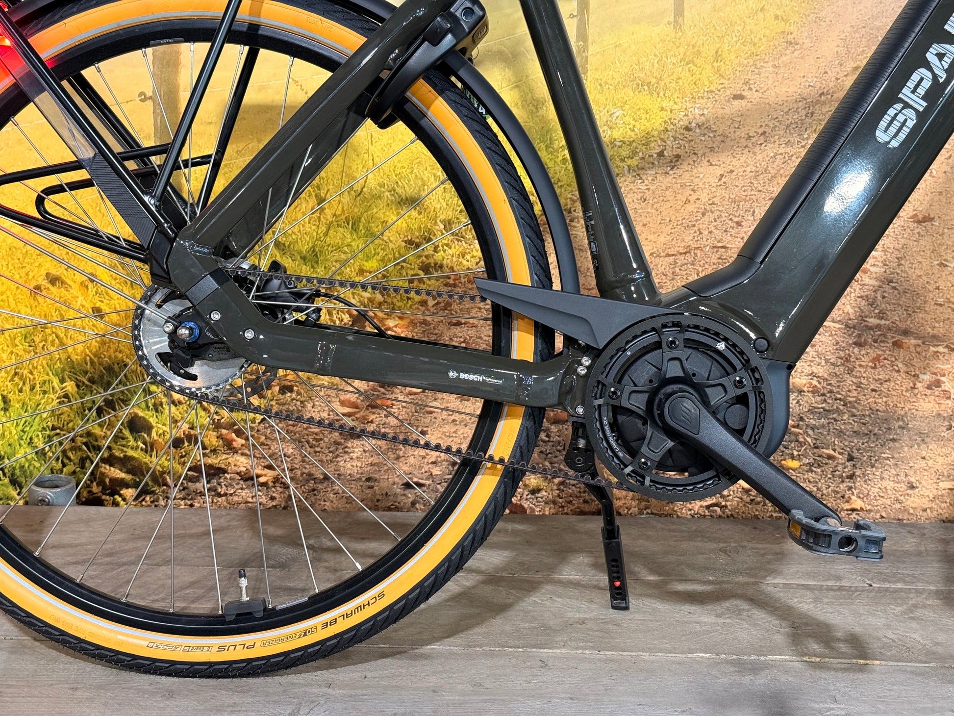 Sparta D-Rule Energy M5T 2024