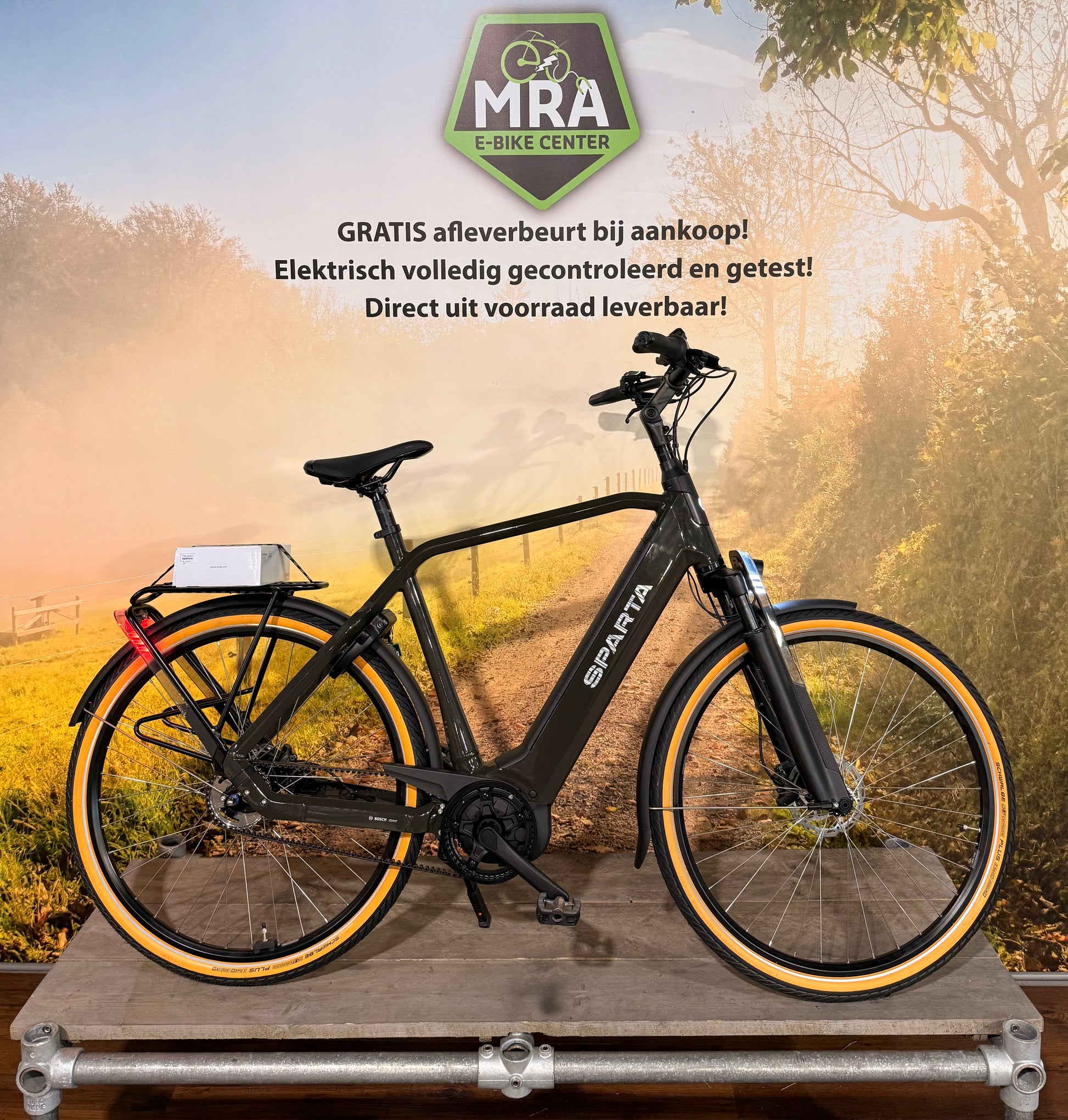 Sparta D-Rule Energy M5T 2024