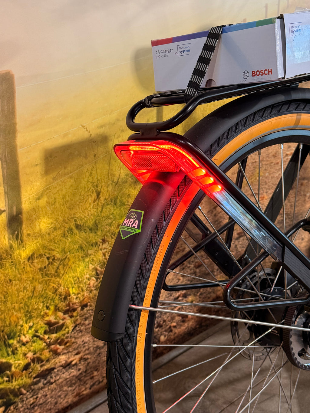 Sparta D-Rule Energy M5T 2024