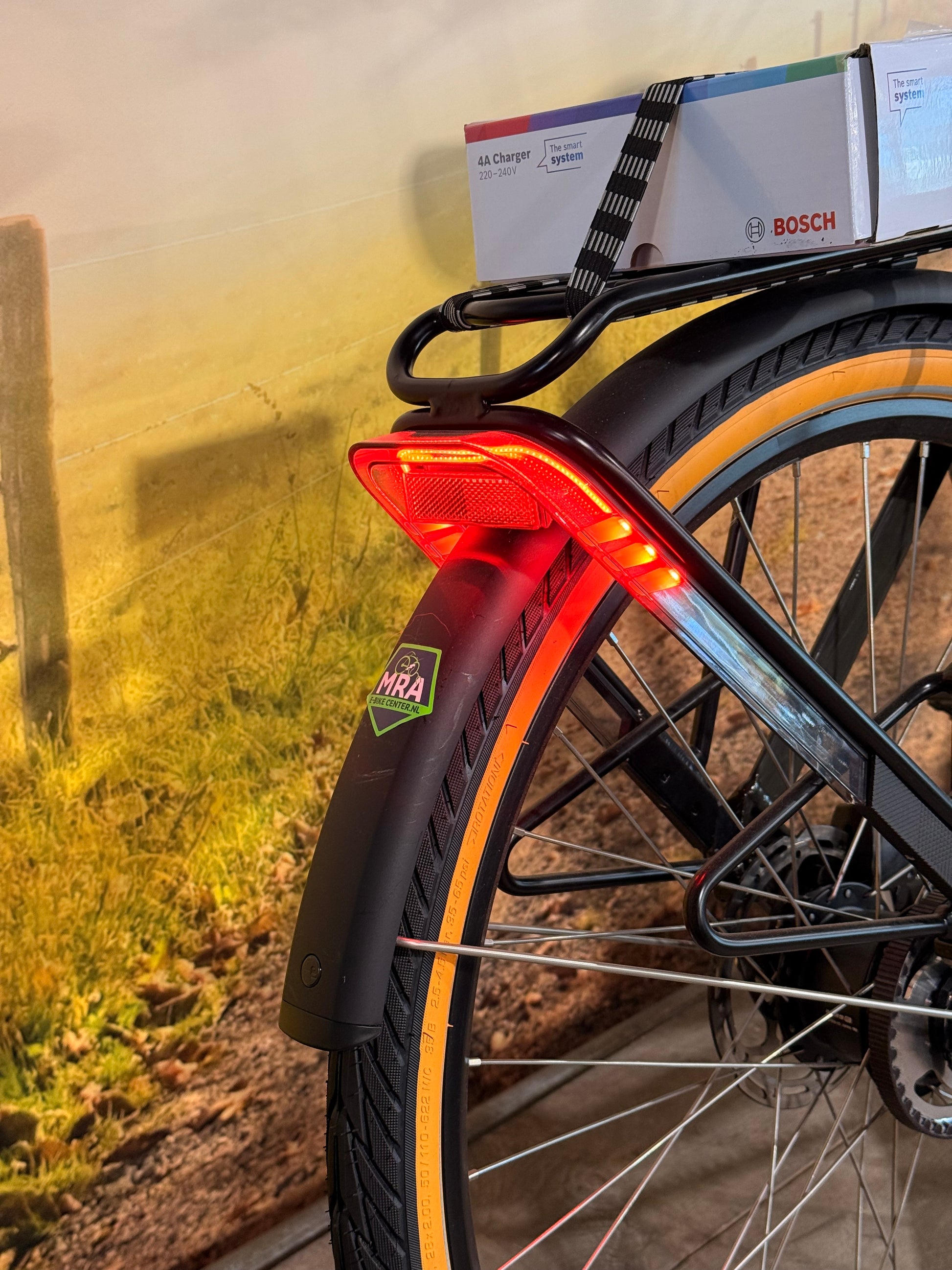 Sparta D-Rule Energy M5T 2024