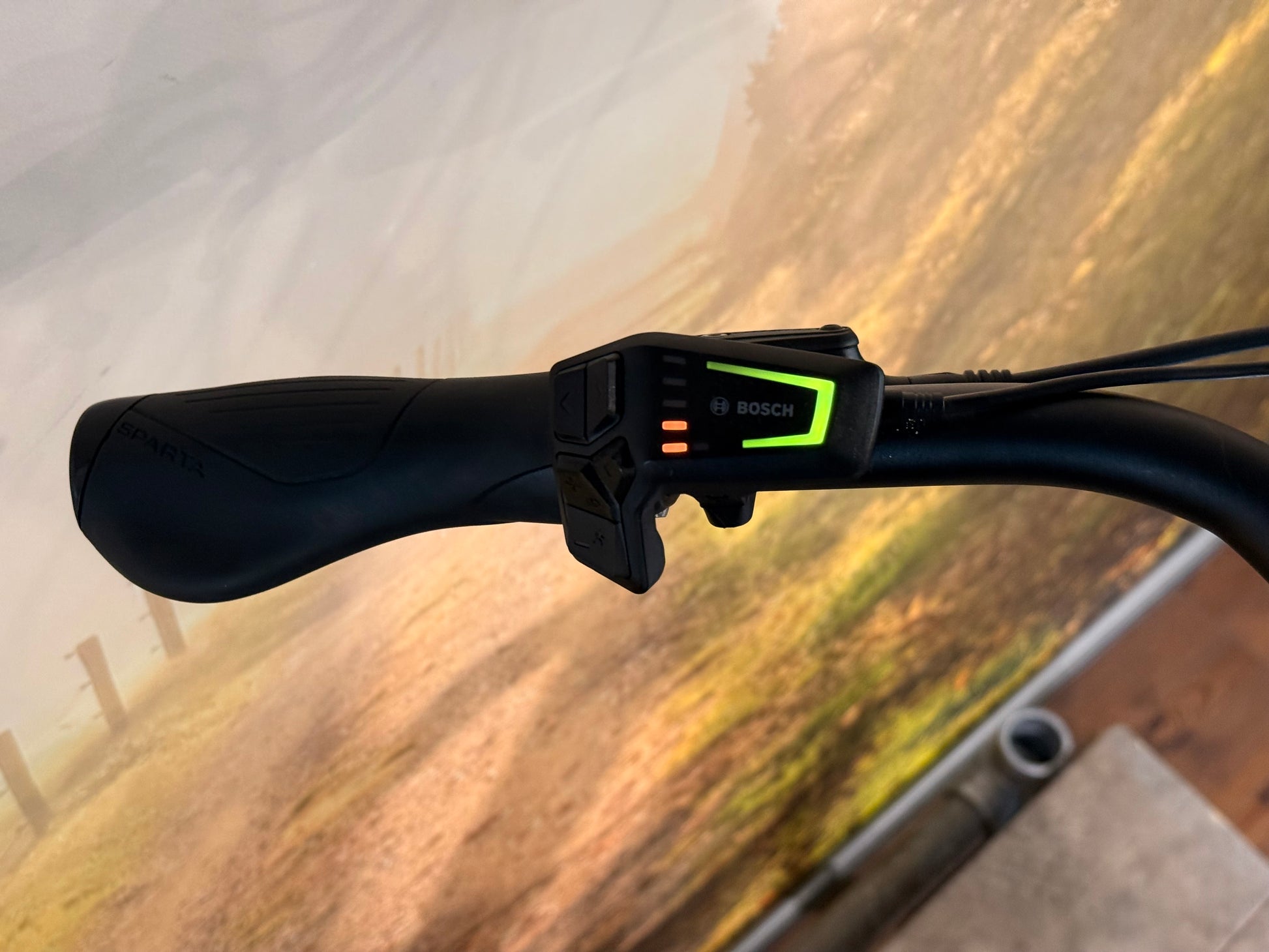 Sparta D-Rule Energy M5T 2024