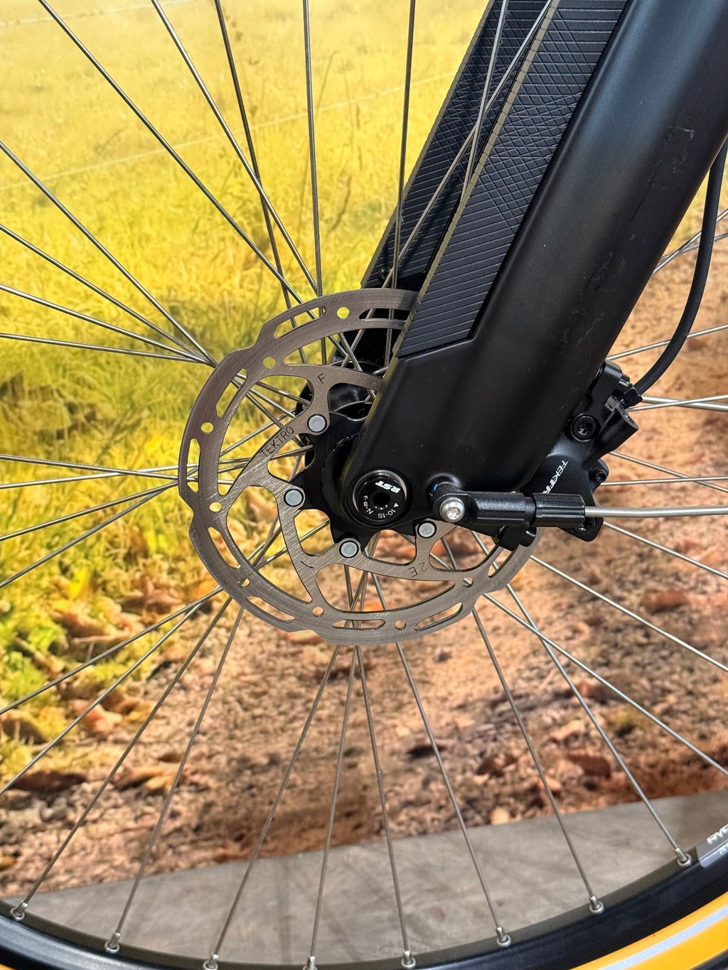 Sparta D-Rule Energy M5T 2024