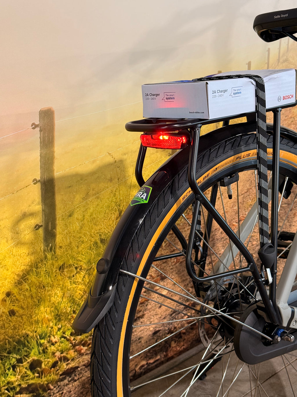 Sparta C-Grid Fit 2026