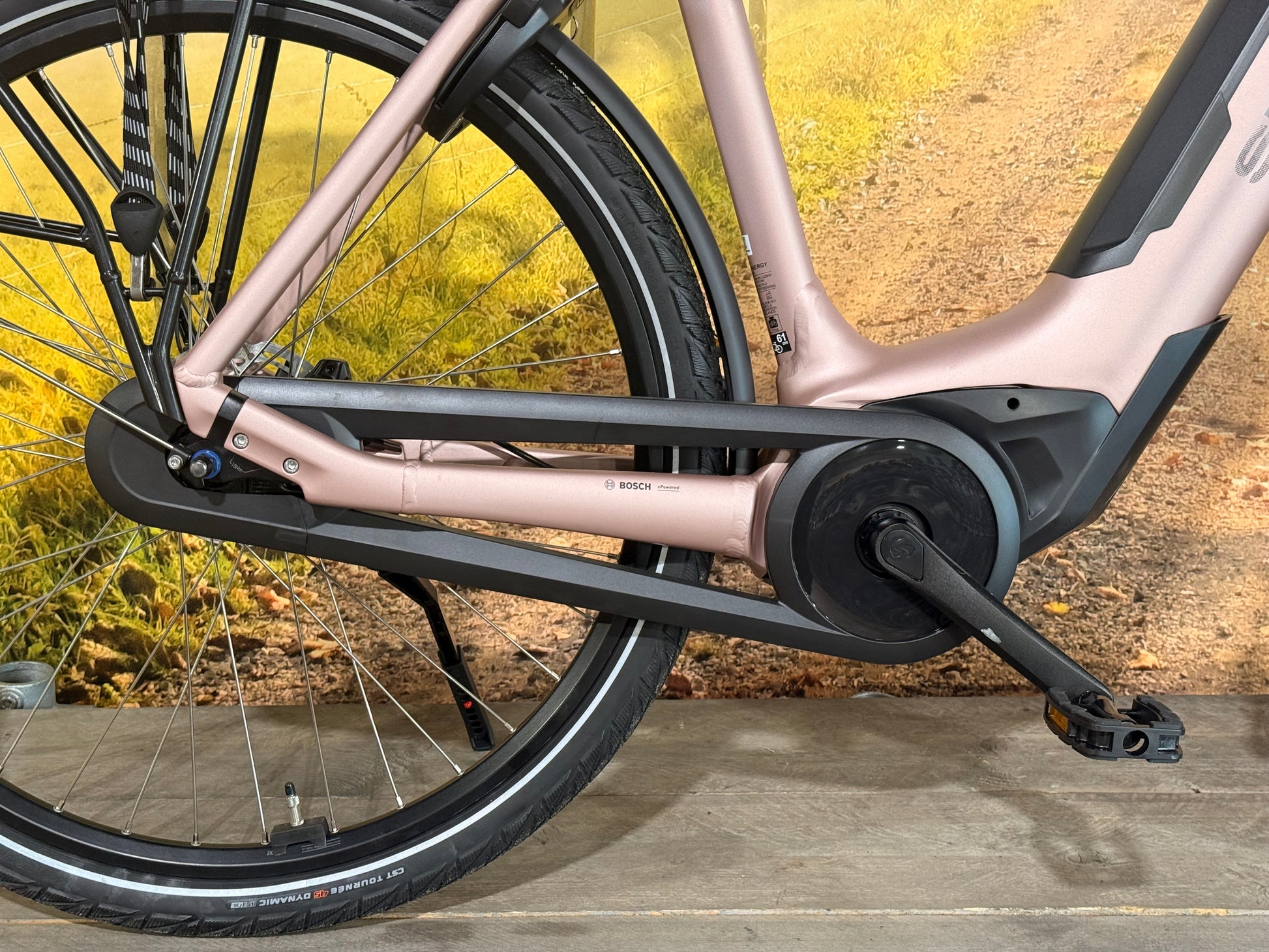 Sparta C-Grid Energy 2025