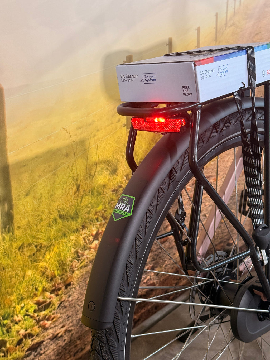 Sparta C-Grid Energy 2025