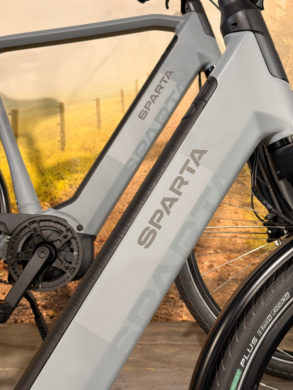Sparta d-Rule Energy 2026