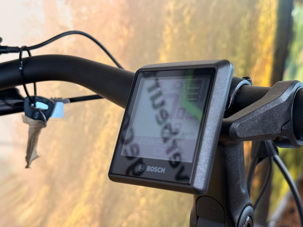 Sparta A-Shine Fit 2024