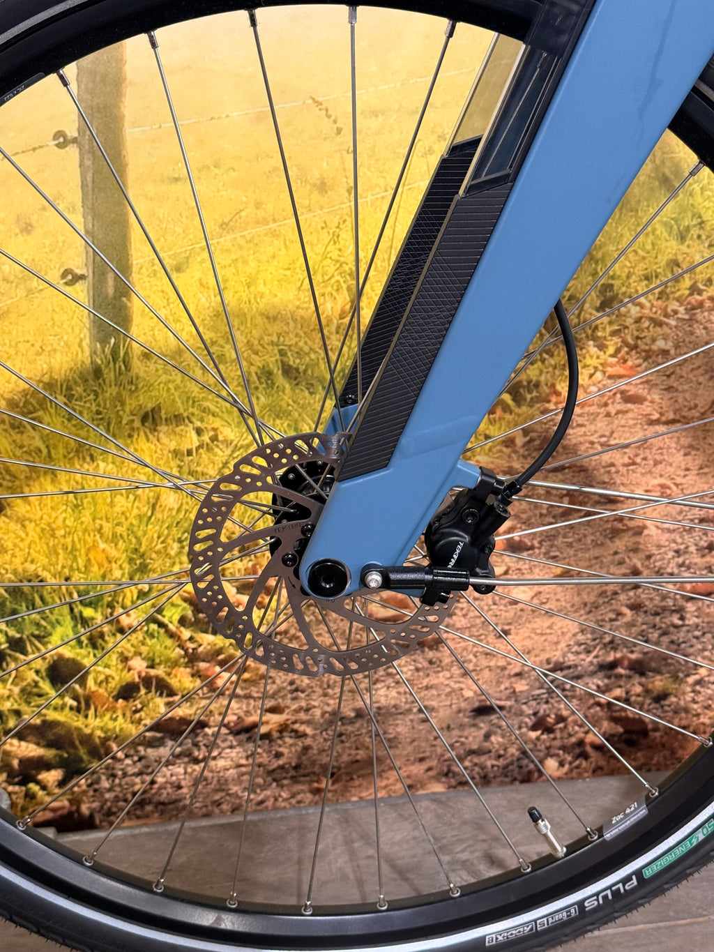 Sparta A-Shine Fit 2024