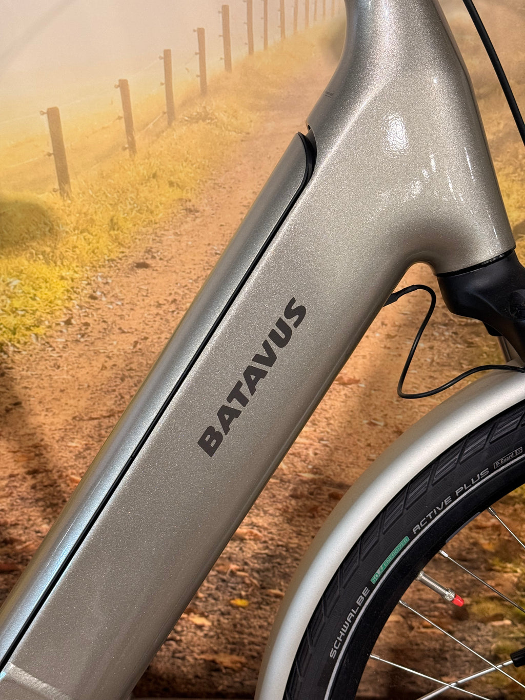 Batavus Finez E-Go Power Smart 2025