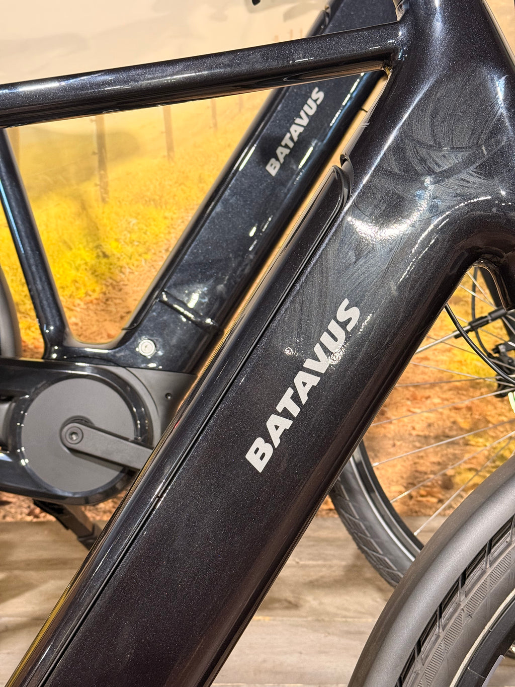 Batavus Finez E-Go Power Smart 2025