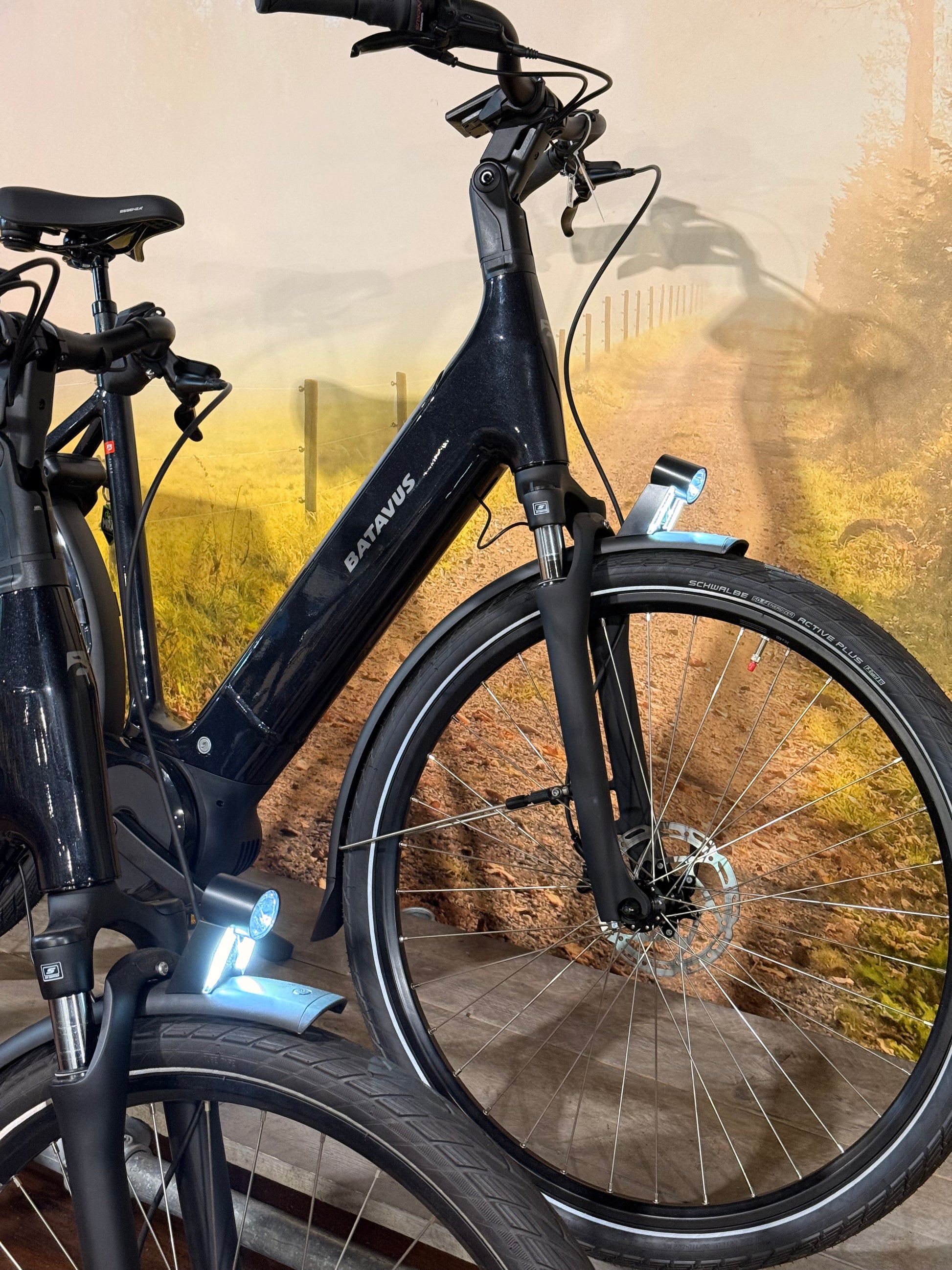 Batavus Finez E-Go Power Smart 2025