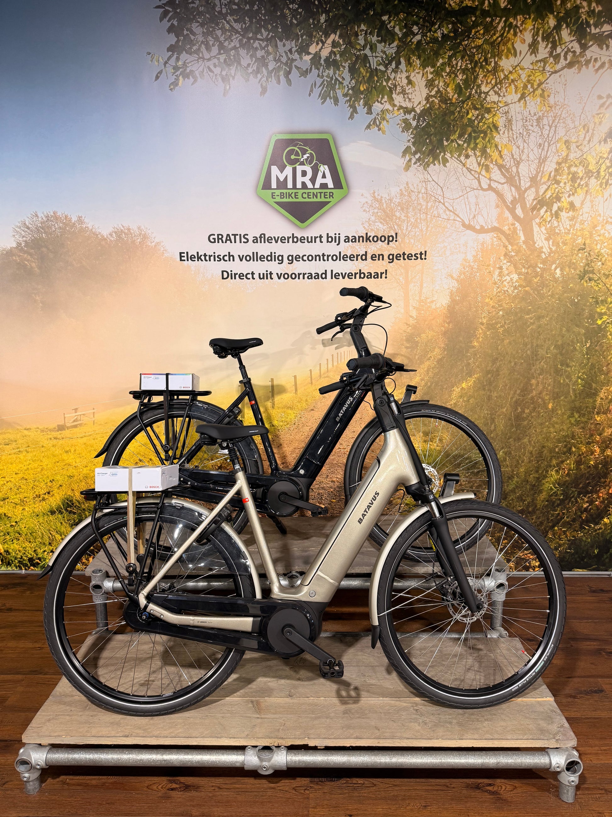 Batavus Finez E-Go Power Smart 2025