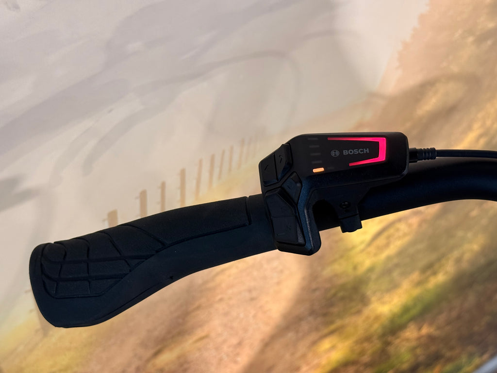 Batavus Finez E-Go Power Smart 2025