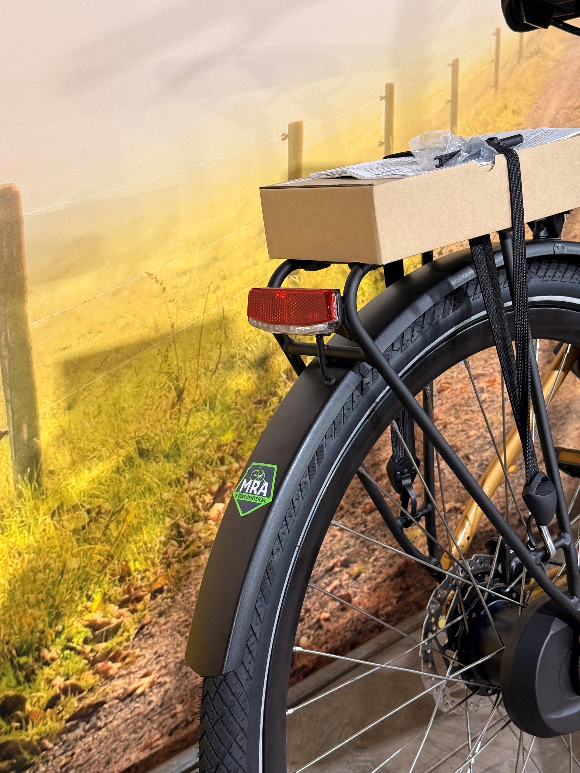 Multicycle Voyage EMI