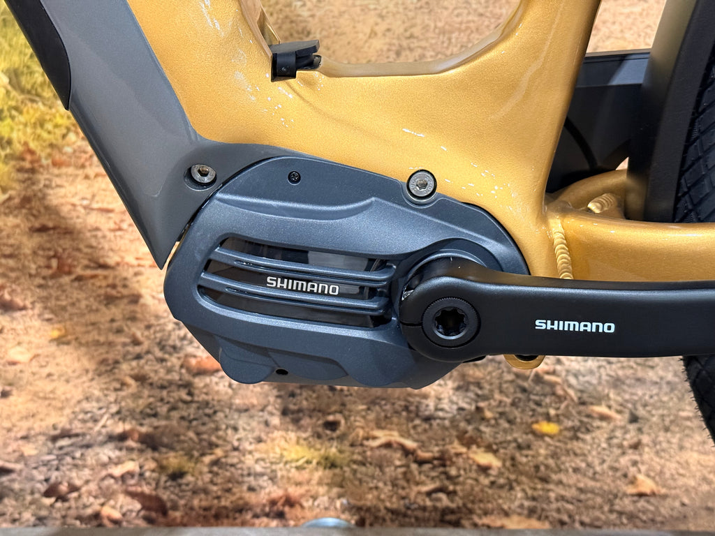 Multicycle Voyage EMI