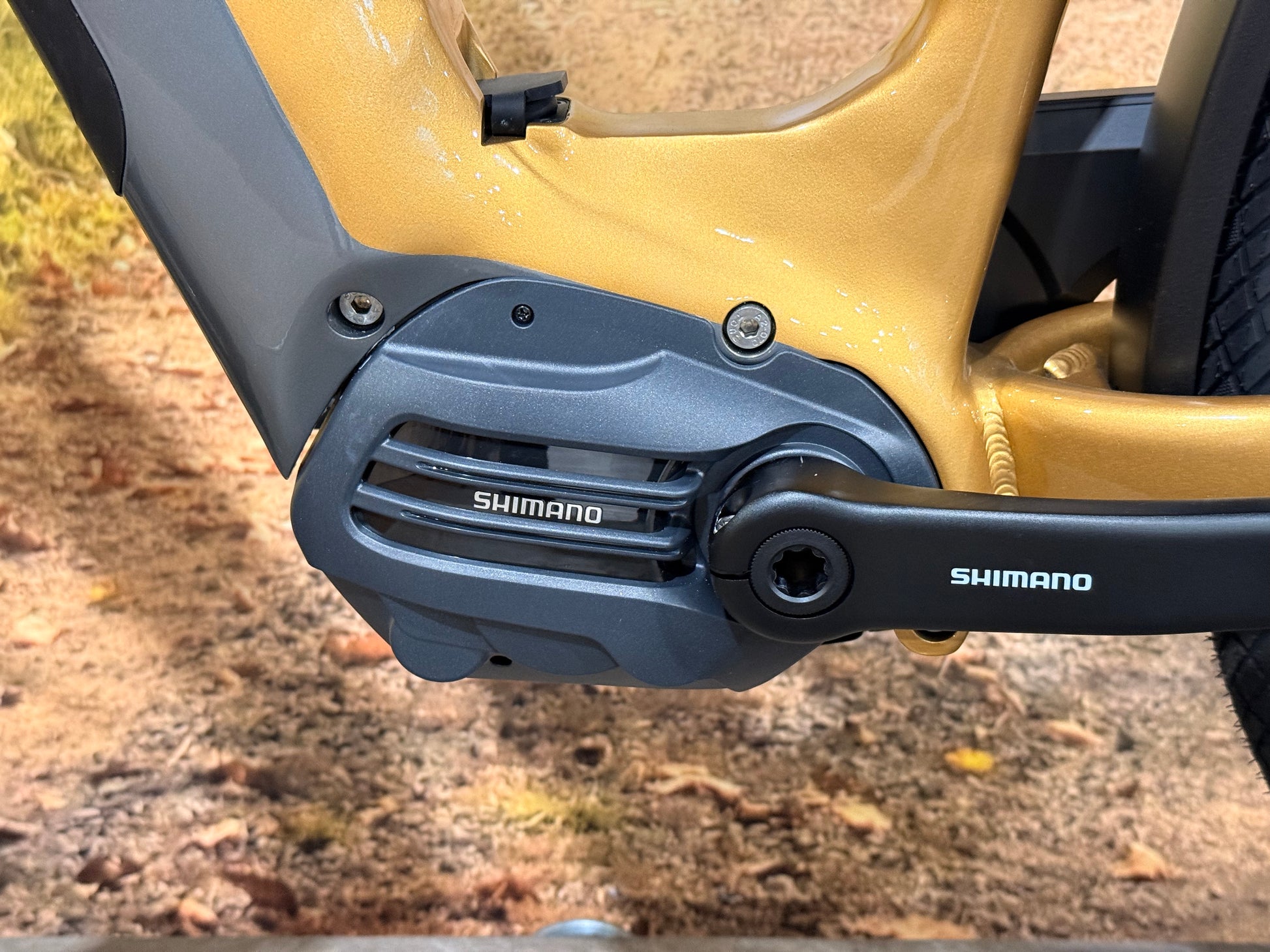 Multicycle Voyage EMI