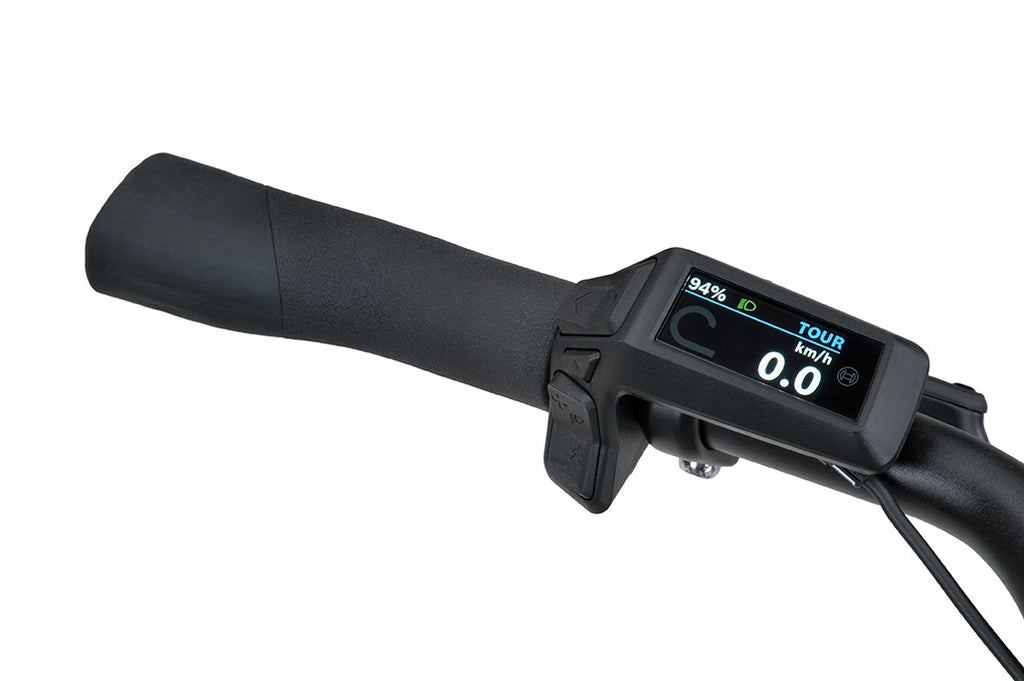 Batavus Altura CP Active Line Plus 2026