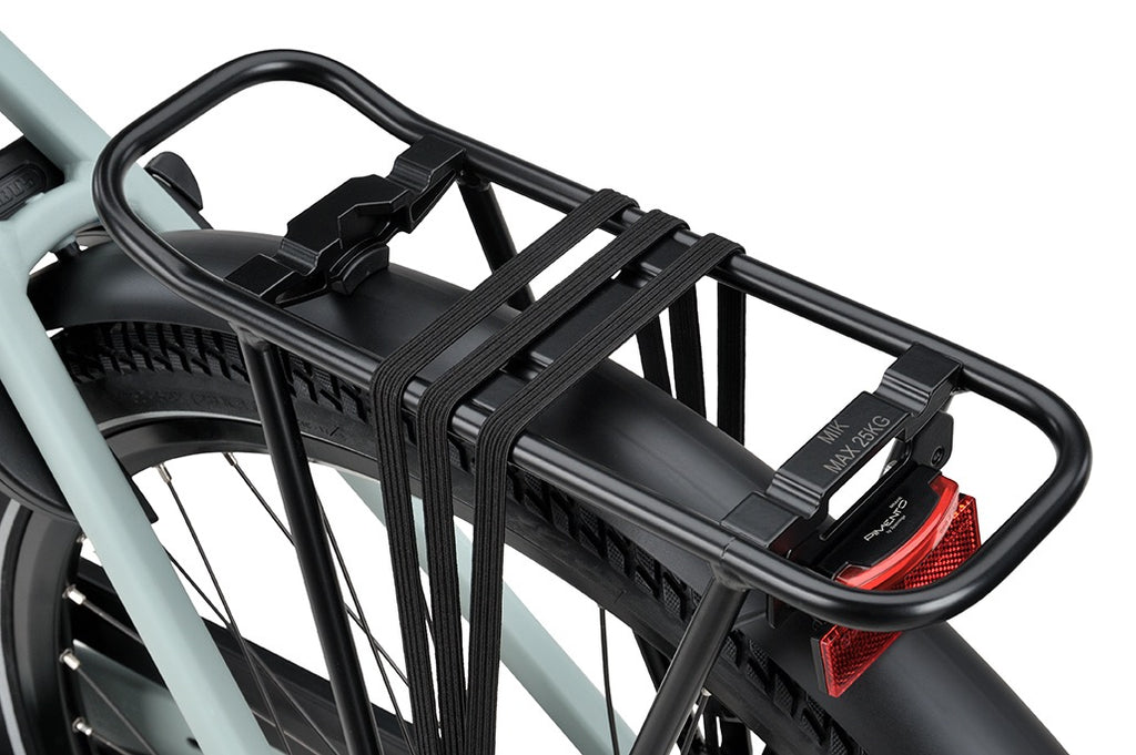 Batavus Altura PT Pro 2026