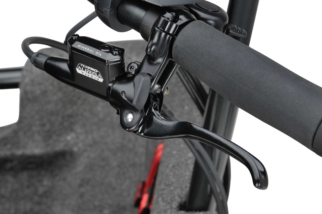 Batavus Fier 3 enviolo Flex accu 2026