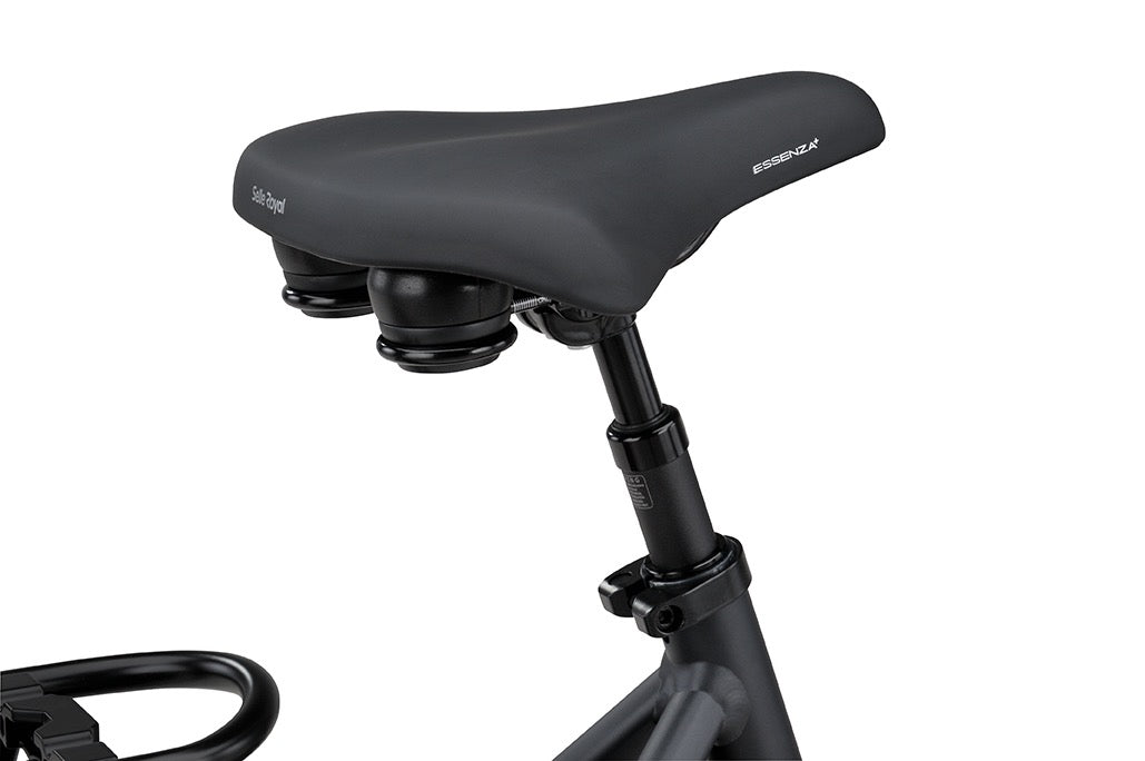 Batavus Finez PT Exclusive Plus 2026