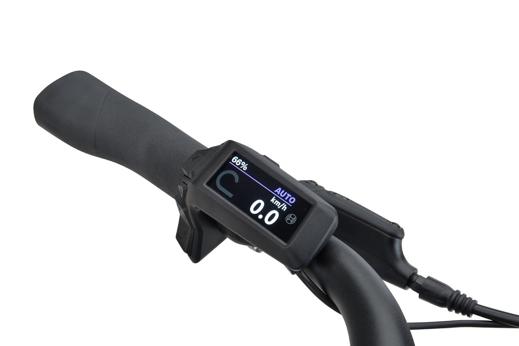 Batavus Altura PT 2026