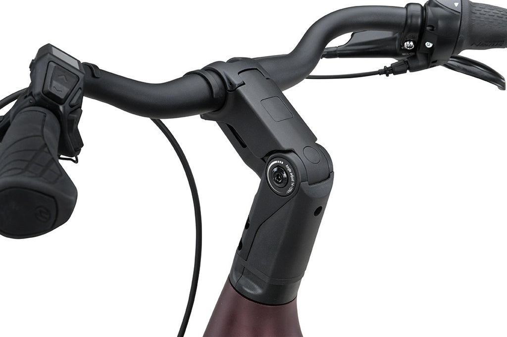 Batavus Finez PT 2026