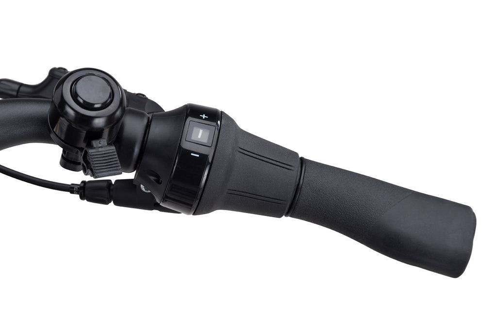 Batavus Altura PT 2026