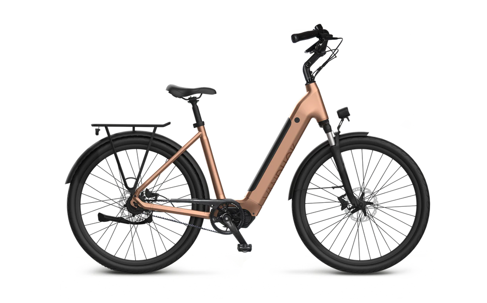 Van Dijck Kronos N7