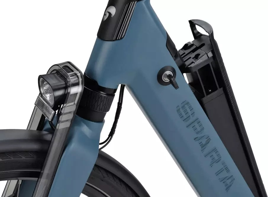 Sparta A-Shine Fit 2024