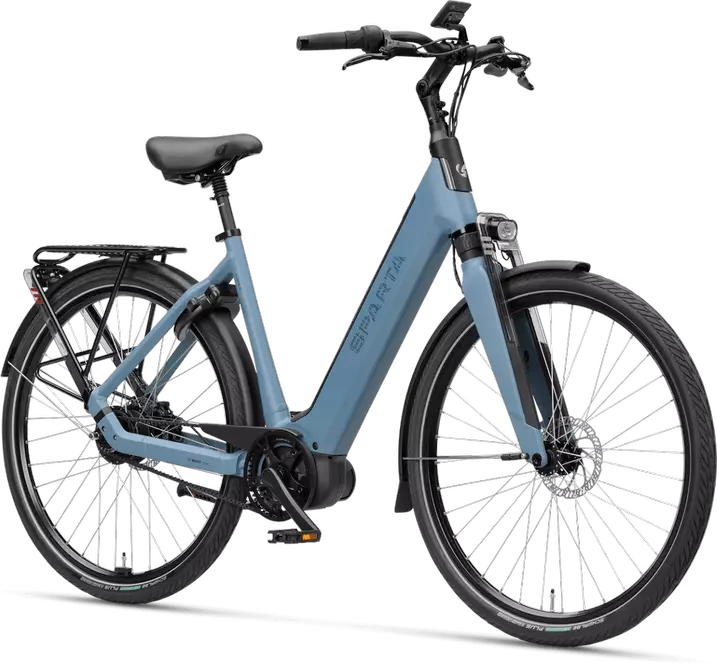 Sparta A-Shine Fit 2024