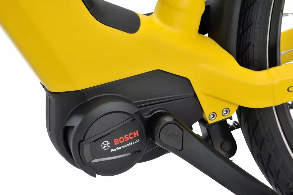 Sparta d-Rule Energy M5T 2024