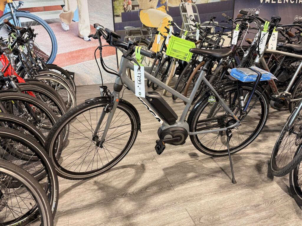 Batavus image 24
