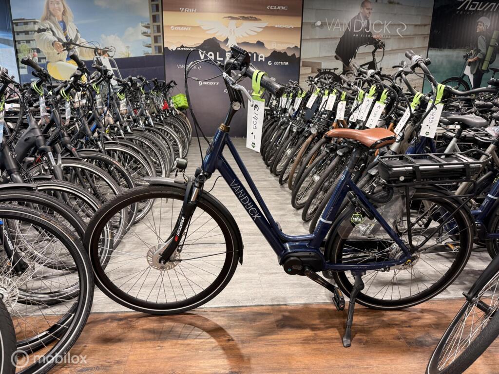 Batavus image 31